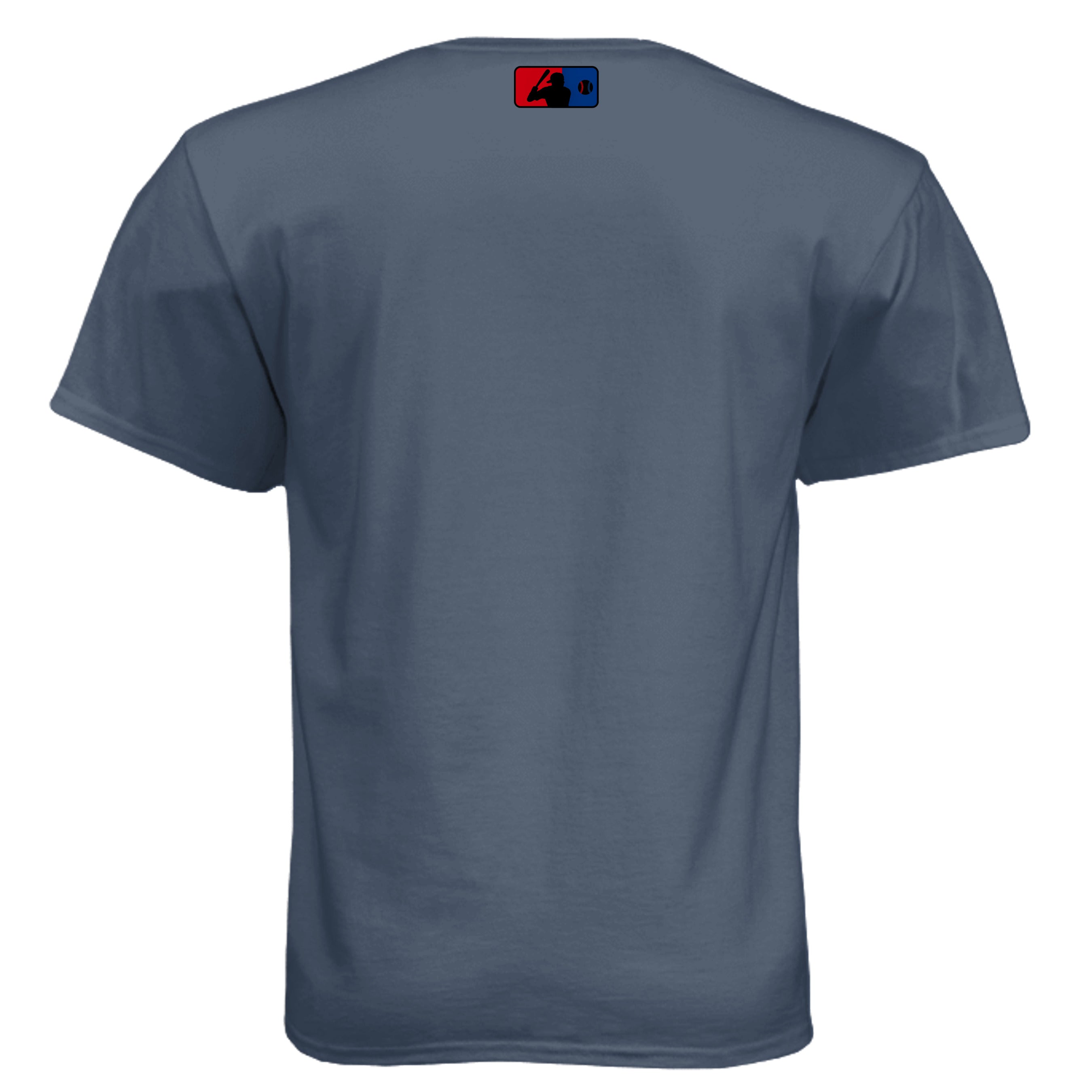Legion Blue - 6010 - BACK